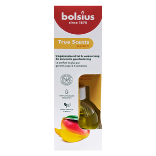 Ароматичний дифузор з паличками &laquo;манго&raquo; BOLSIUS sc. diffusore mango 60 мл. 7645 фото