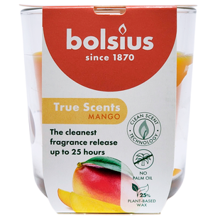 Ароматична свічка &laquo;манго&raquo; BOLSIUS sc. cand.bic.mango 80/73 8053 фото